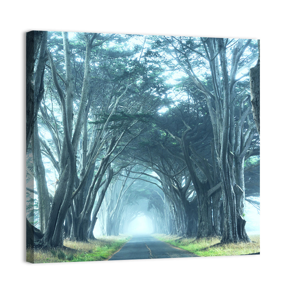 Foggy Cypress Tree Tunnel Wall Art, canvas print, square