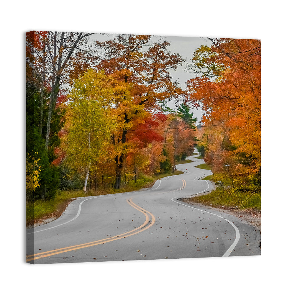 Winding Autumn Highway Wall Art, canvas print, square