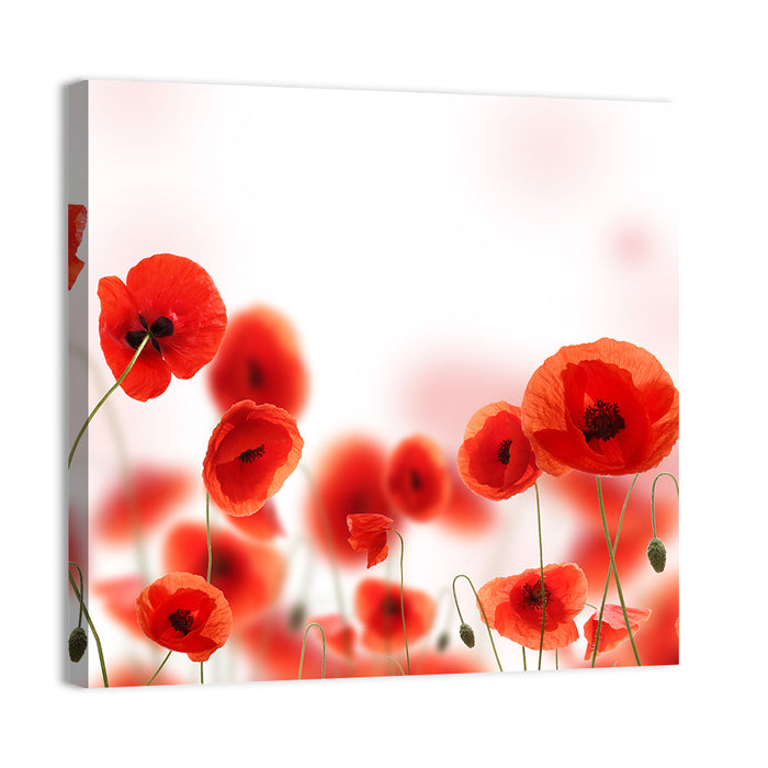 Red Poppy Field Wall Art as a canvas print