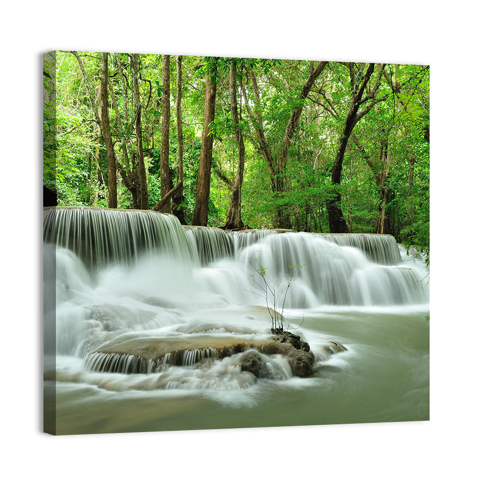 Forest Waterfall Wall Art
