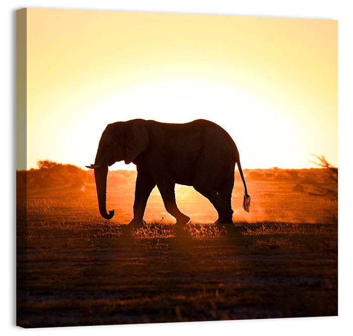 Golden Hour Elephant Silhouette Wall Art as a canvas print