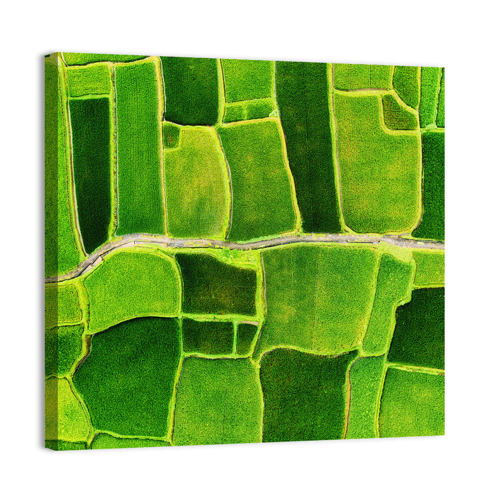 Verdant Rice Terrace Grid Wall Art, canvas print, square