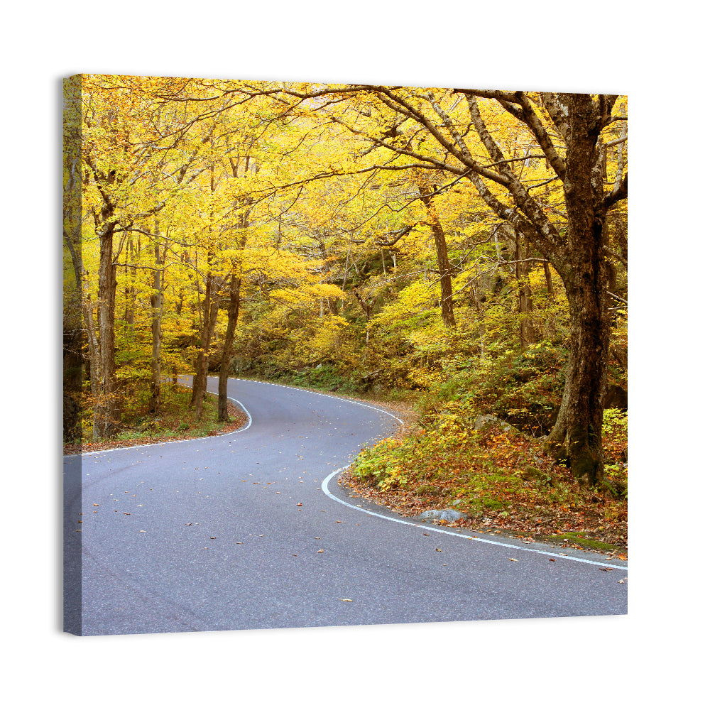 Road Through Fall Foliage Wall Art