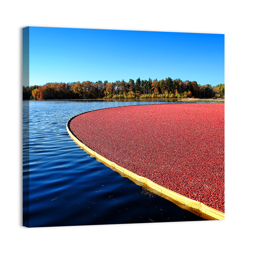 Flooded Cranberry Bog Wall Art, canvas print, square