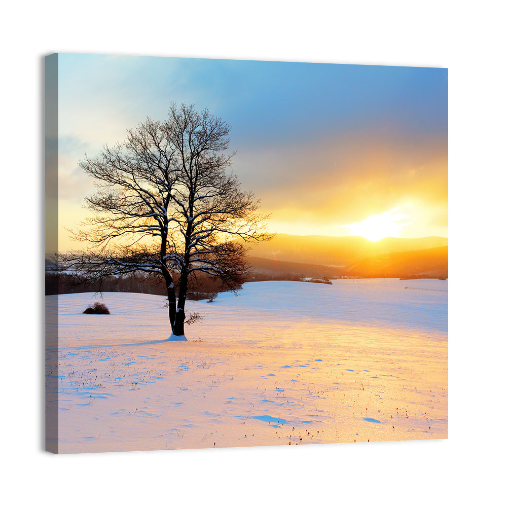 Snowy Winter Sunrise Wall Art