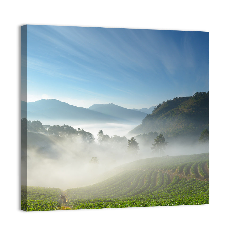 Sunlit Terraced Tea Hills Wall Art, canvas print, square