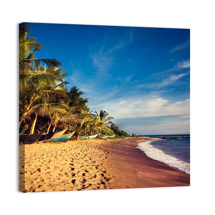 Mirissa Beach Morning Light Wall Art as a canvas print