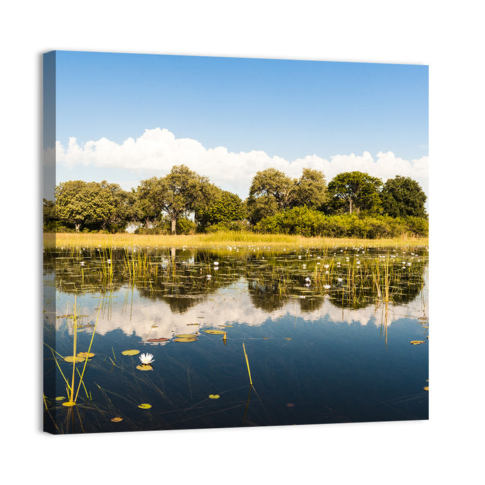 Okavango Delta Waterlilies Wall Art as a canvas print