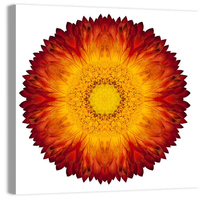 Kaleidoscopic Strawflower Mandala Wall Art as a canvas print