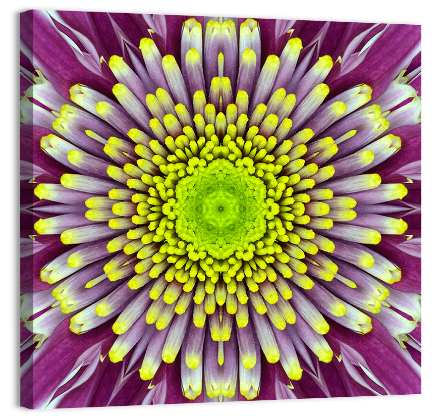 Mandala Chrysanthemum Macro Wall Art, canvas print, square