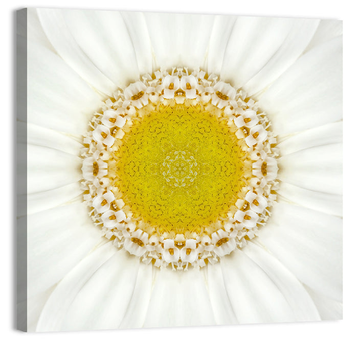 White Flower Mandala Kaleidoscope Wall Art as a canvas print