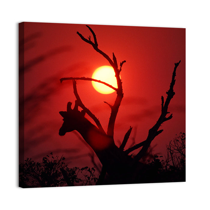 Giraffe Silhouette at Sunset Wall Art as a canvas print