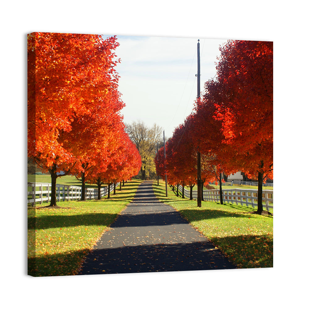 Frederick Farm Road Wall Art, canvas print, square