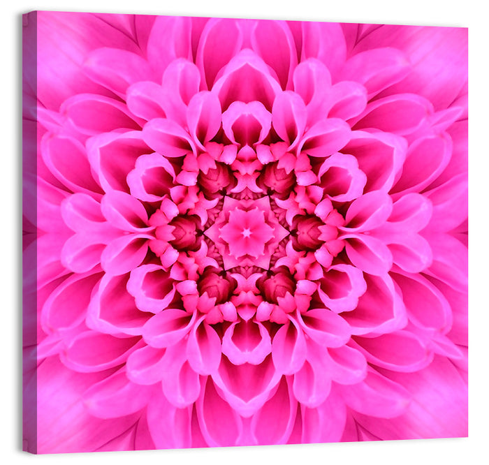 Kaleidoscopic Chrysanthemum Mandala in Magenta Wall Art as a canvas print