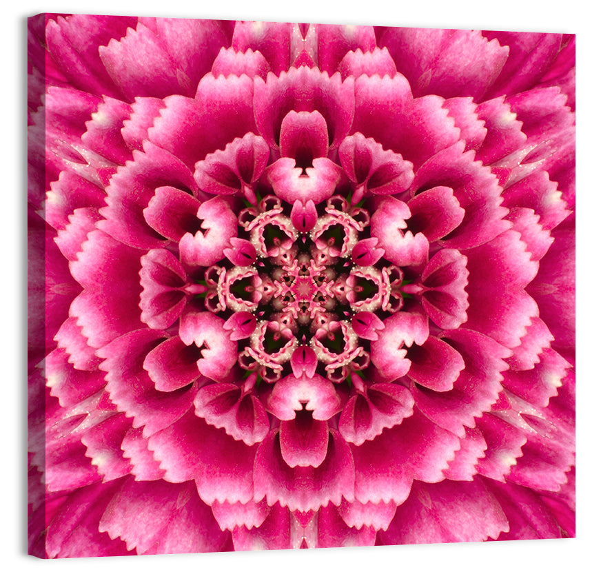 Kaleidoscopic Pink Chrysanthemum Mandala Wall Art, canvas print, square