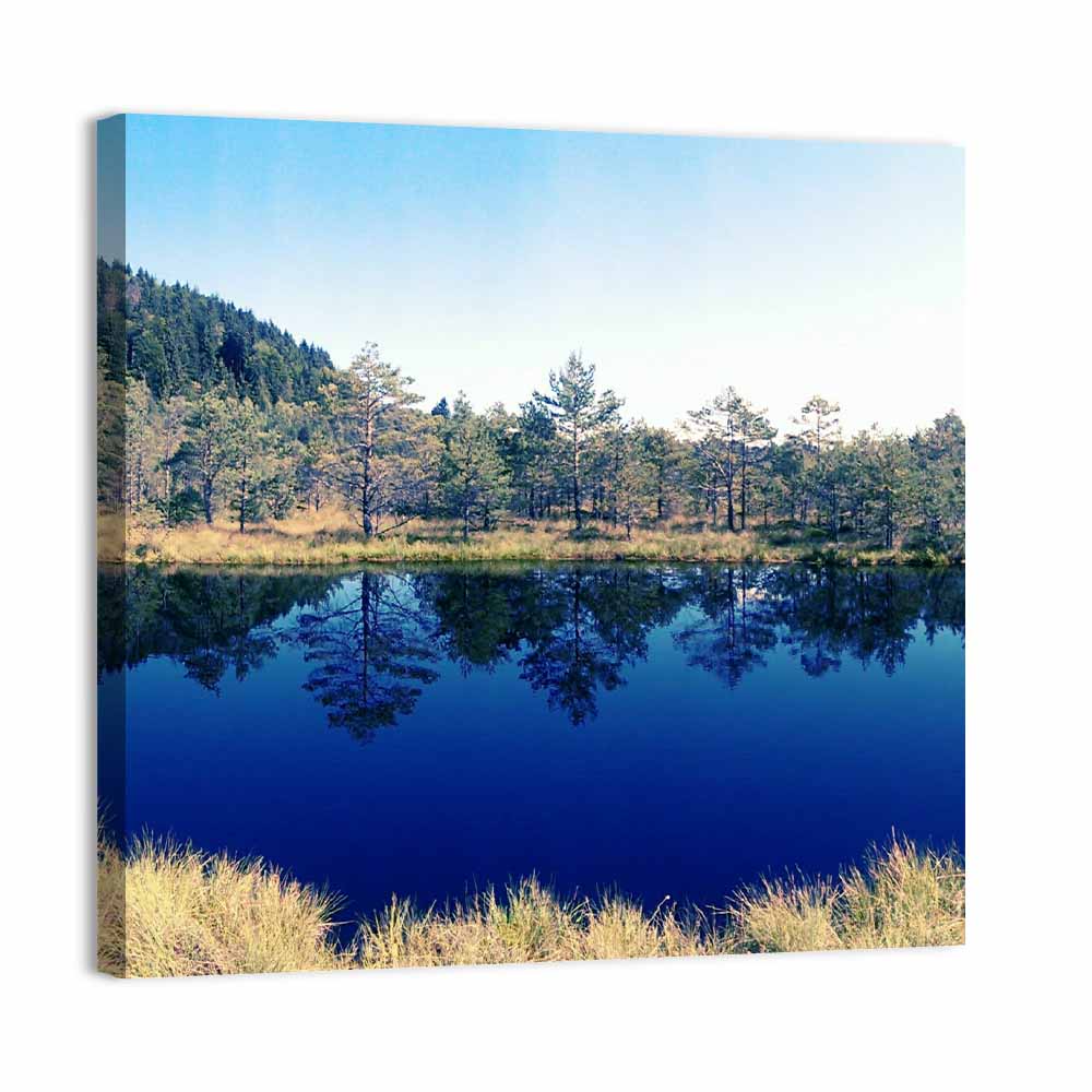 Tundra Reservation Park Lake Wall Art
