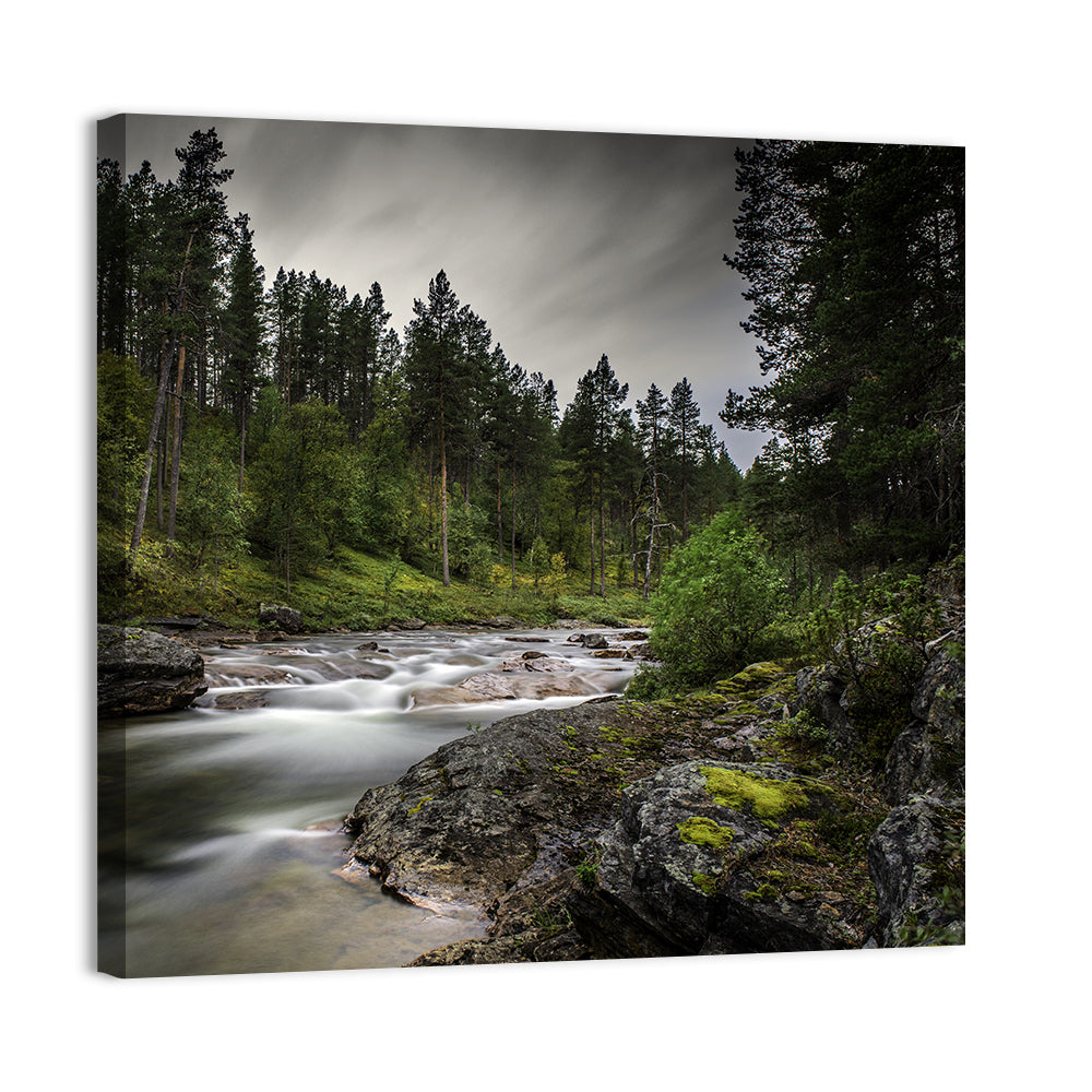 Mossy Forest Stream Wall Art, canvas print, square