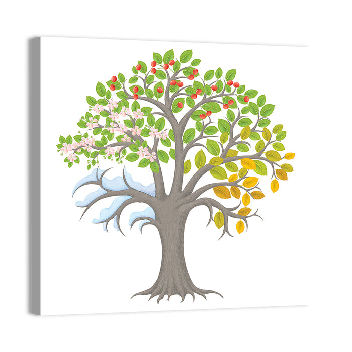 Four Seasons Apple Tree Illustration Wall Art as a canvas print