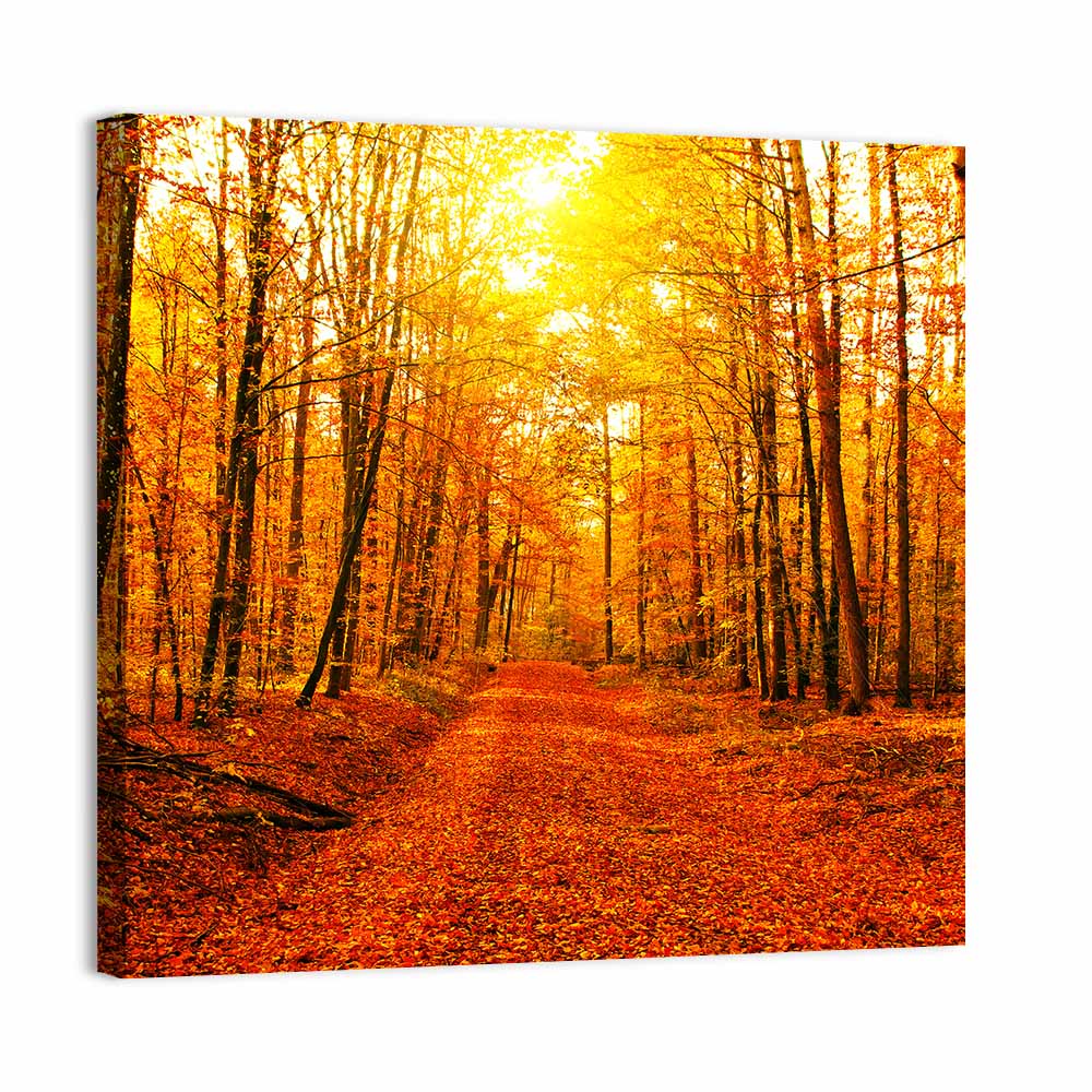 Golden Autumn Forest Path Wall Art, canvas print, square