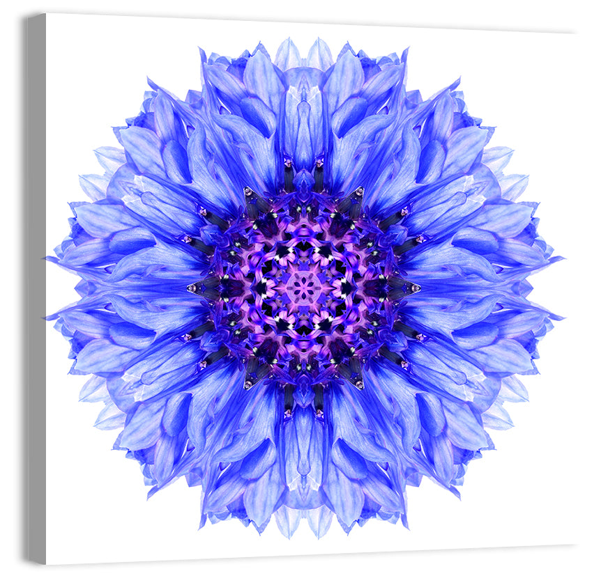 Cornflower Mandala with Dark Violet Center Wall Art, canvas print, square