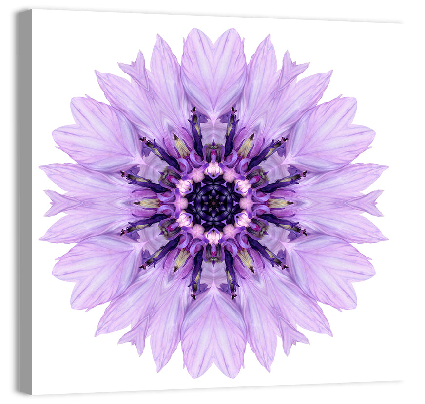 Lavender Cornflower Mandala Wall Art, canvas print, square