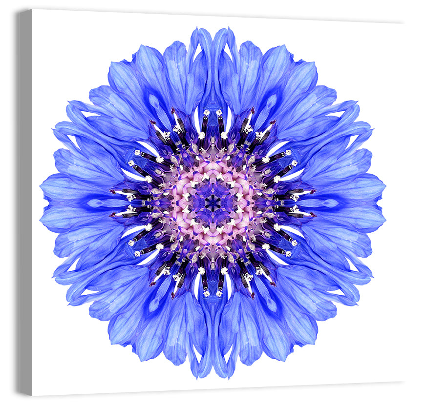 Blue Cornflower Mandala Pattern Wall Art, canvas print, square