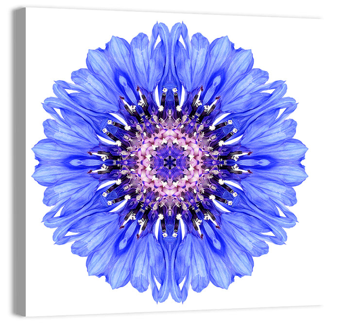 Blue Cornflower Mandala Pattern Wall Art as a canvas print