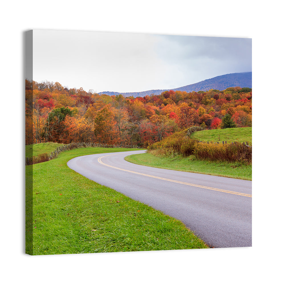 Road Through Meadow Wall Art