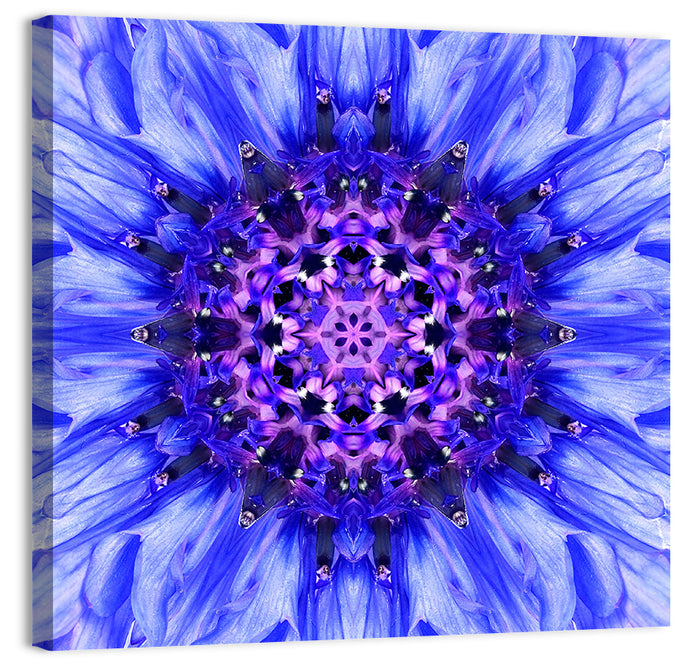 Kaleidoscopic Cornflower Mandala Wall Art as a canvas print
