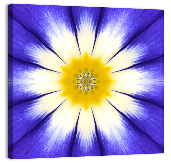 Blue Cornflower Mandala Bloom Wall Art as a canvas print