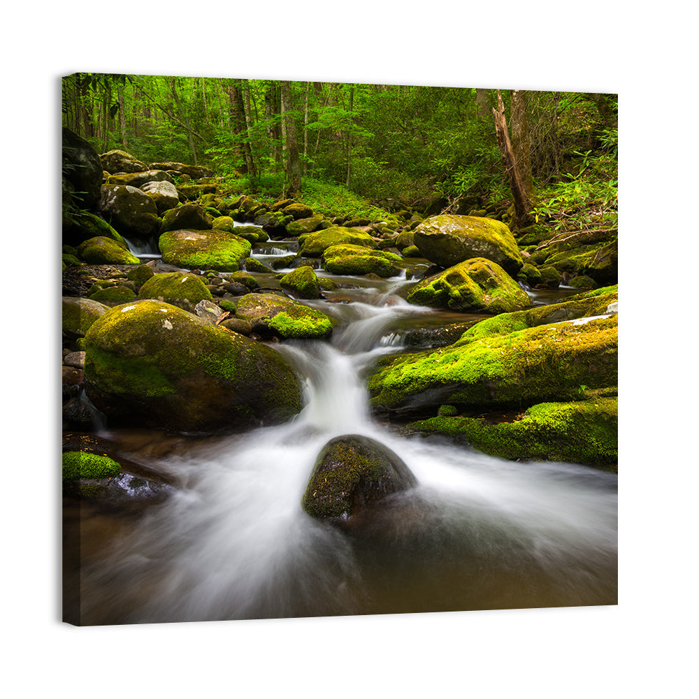 Green Forest Stream Wall Art