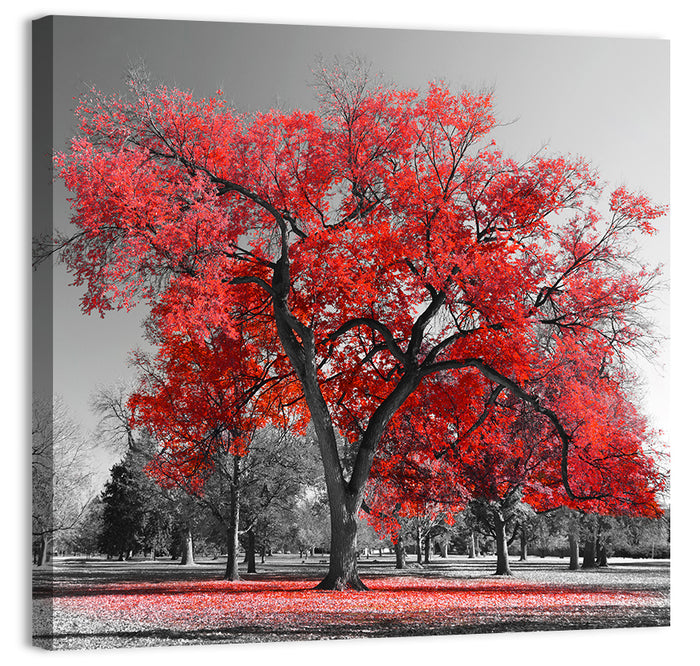 Winter Tree with Red Leaves Wall Art as a canvas print