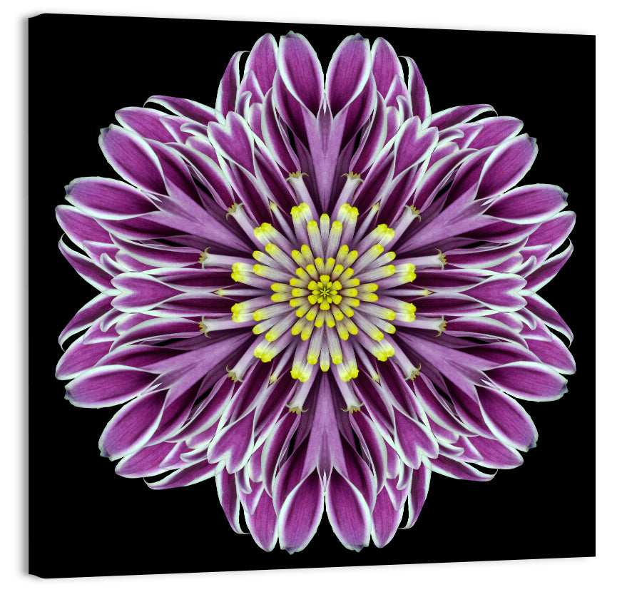Kaleidoscopic Pink Floral Mandala Wall Art, canvas print, square