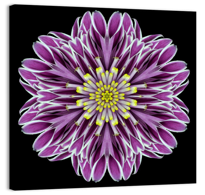 Kaleidoscopic Pink Floral Mandala Wall Art as a canvas print