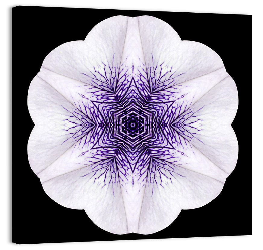 Purple Mandala Flower Kaleidoscope Wall Art, canvas print, square