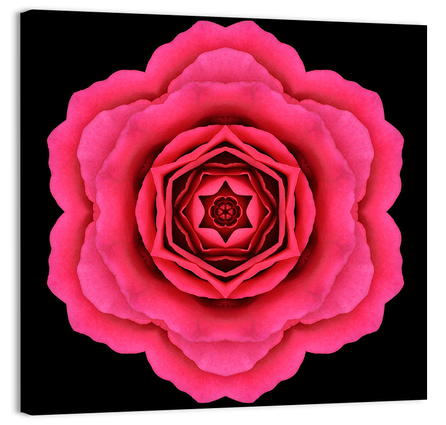 Magenta Rose Mandala Pattern Wall Art, canvas print, square