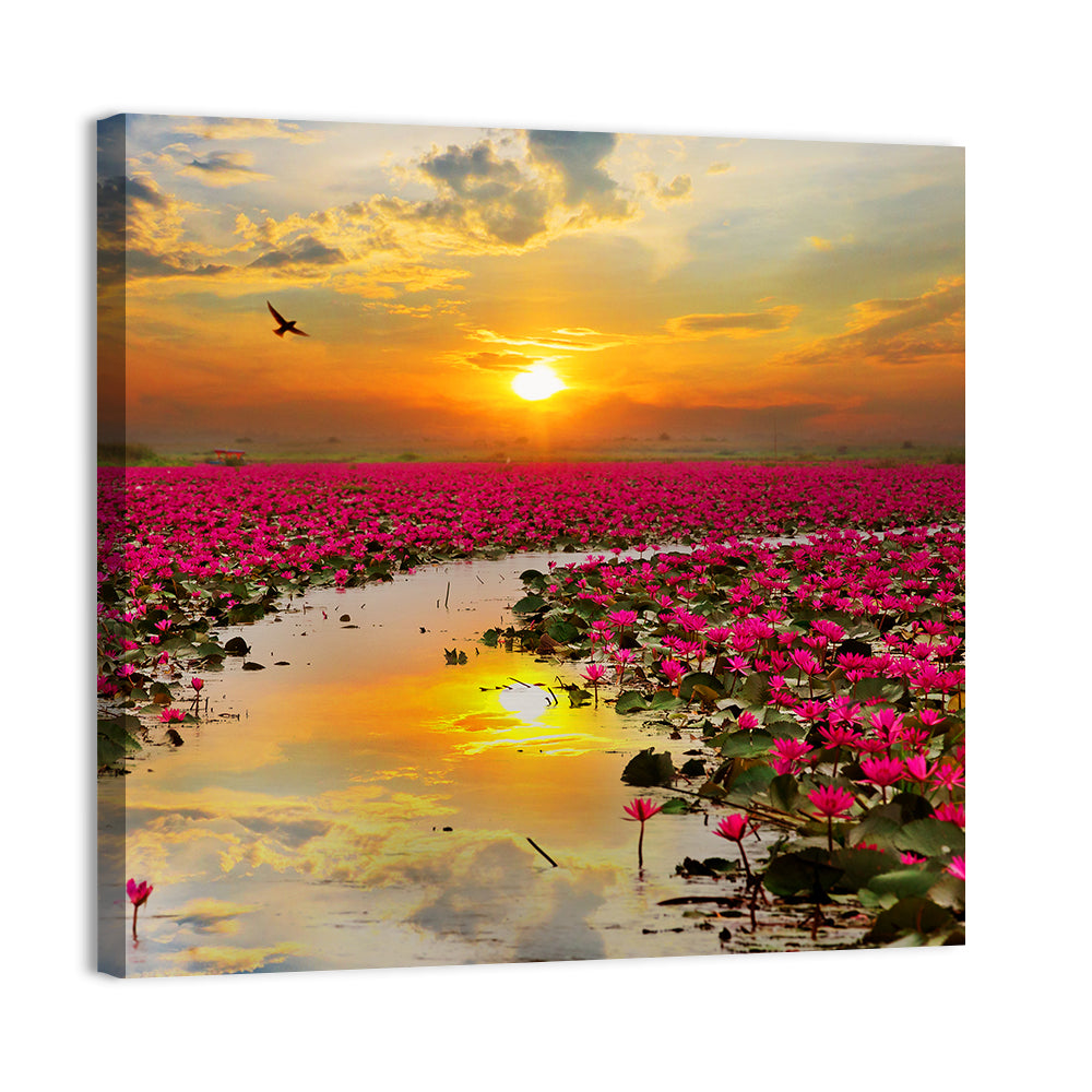 Golden Hour Lotus Field Wall Art, canvas print, square