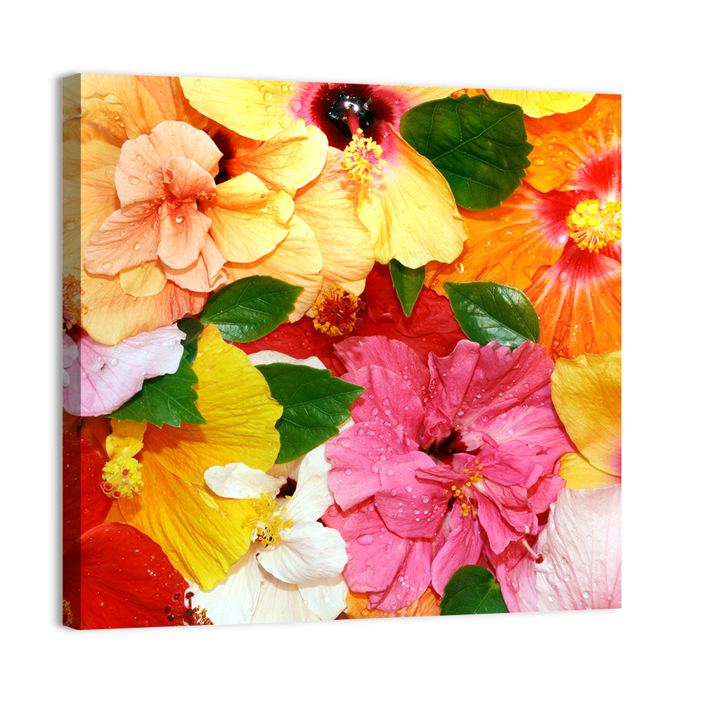 Vibrant Hibiscus Close-up Wall Art, canvas print, square