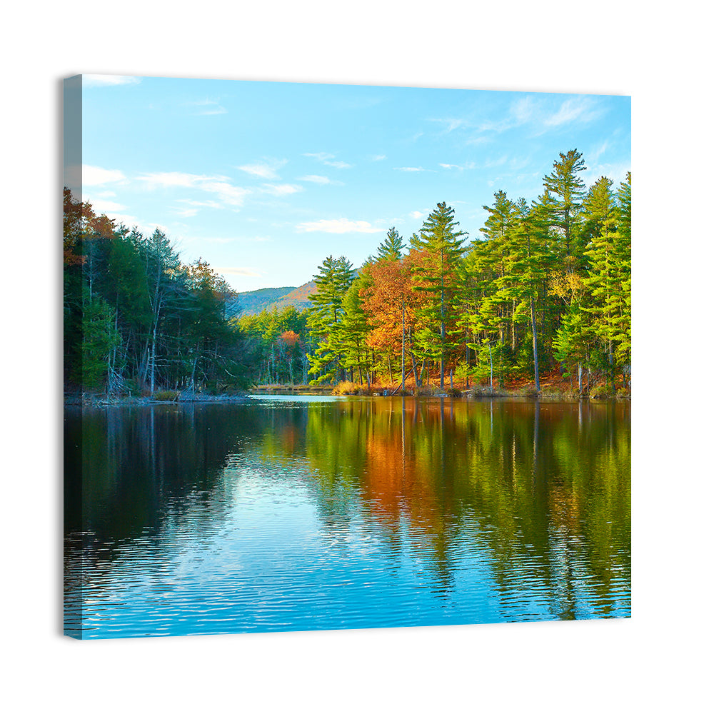 White Mountain National Forest II Wall Art
