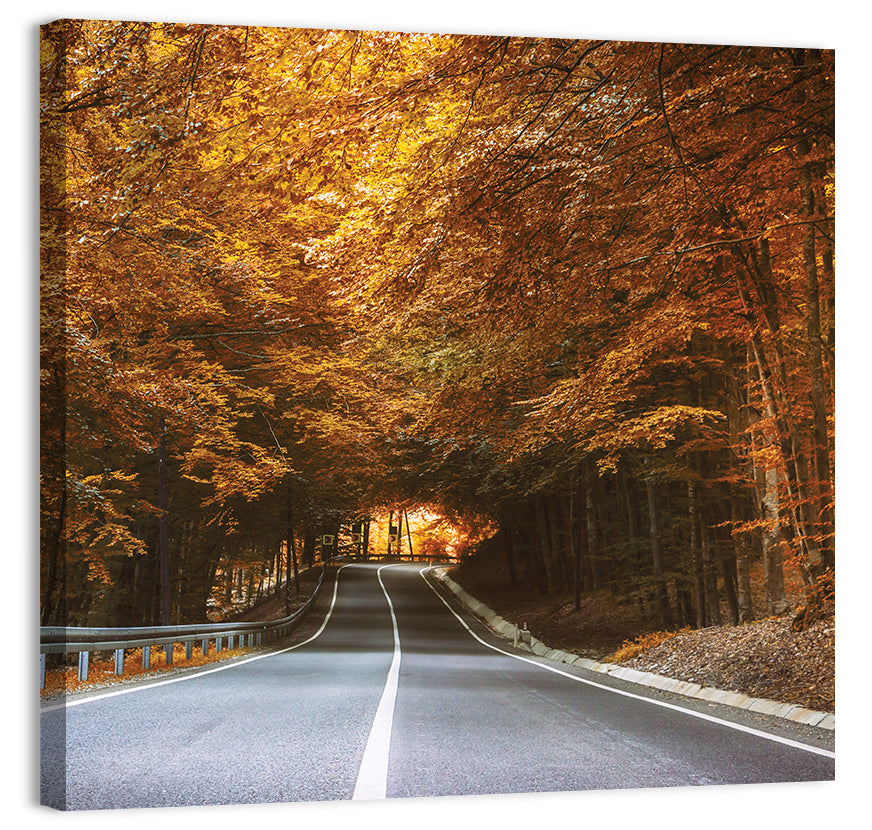 Dense Forest Road Wall Art