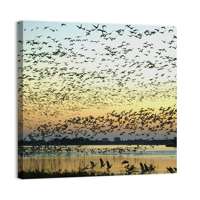 Snow Geese Over River Wall Art as a canvas print
