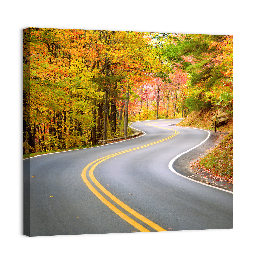 Winding Autumn Road Wall Art
