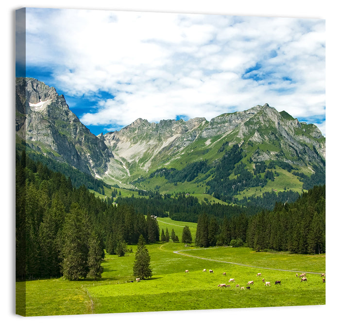Arnibach Valley Summer Meadow Wall Art as a canvas print