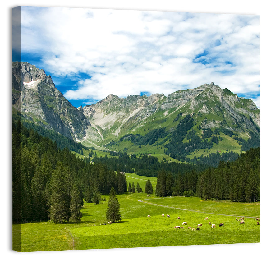 Arnibach Valley Summer Meadow Wall Art, canvas print, square