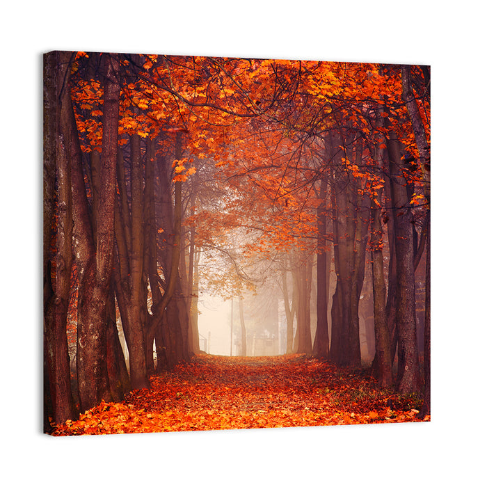 Misty Autumn Forest Path Wall Art as a canvas print