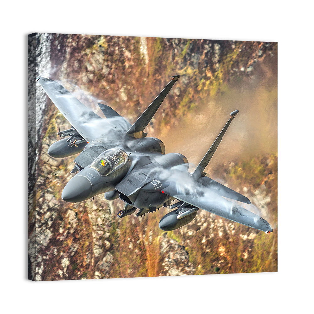 F15 Military Fighter Jet Wall Art