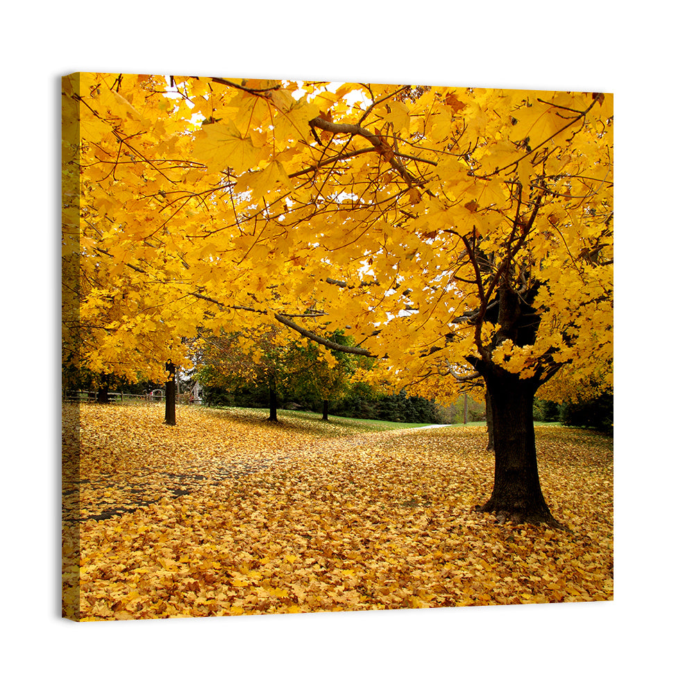 Baltimore Fall Foliage Wall Art