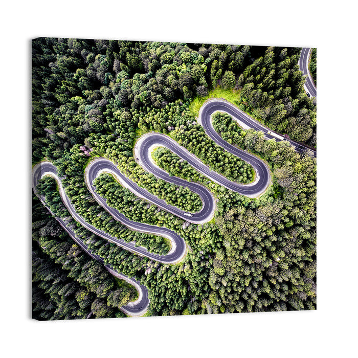 Serpentine Mountain Road Wall Art as a canvas print