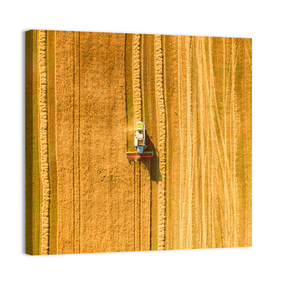 Wheat Field Harvesting Wall Art