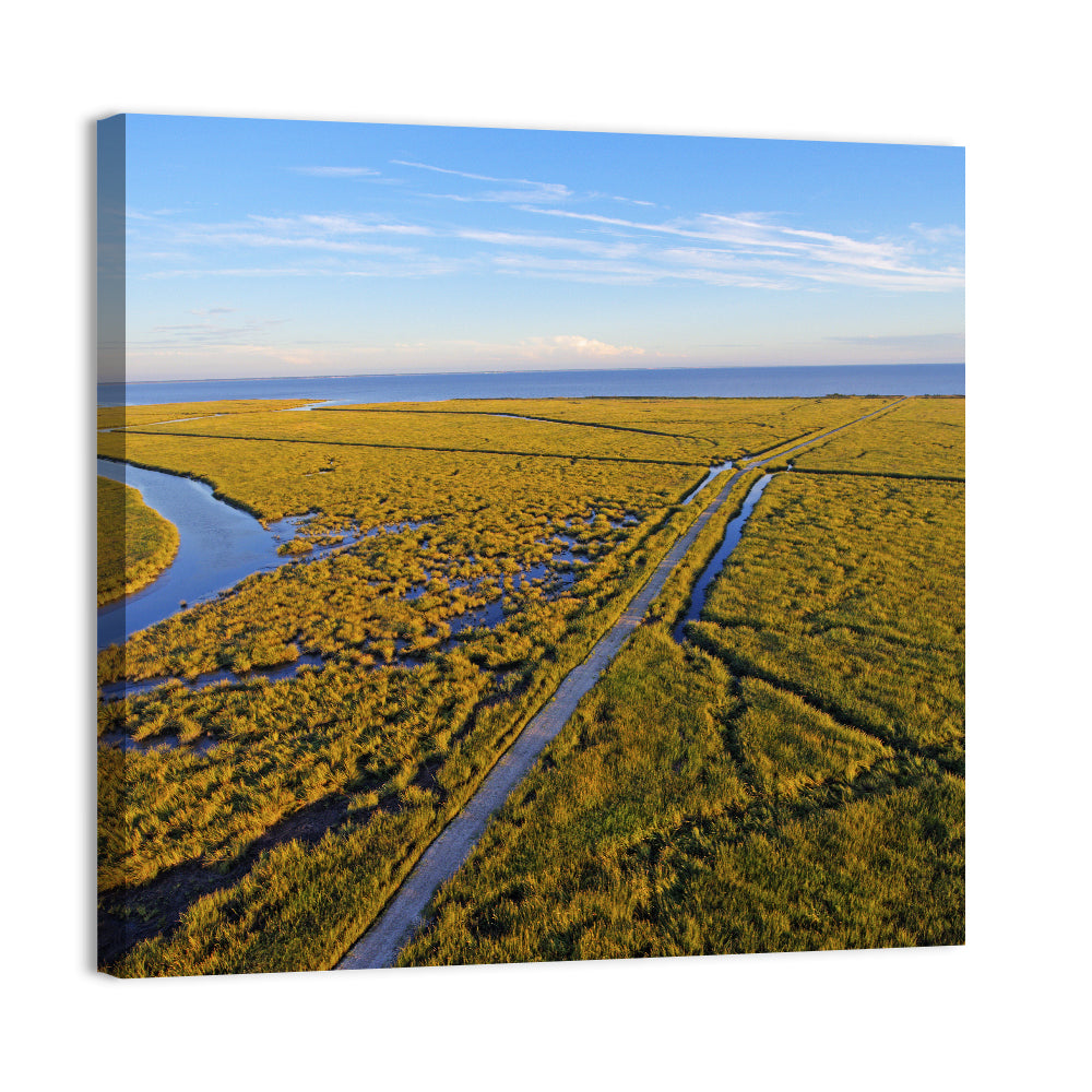 Delaware Bay Wall Art